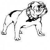 Bulldog Picture