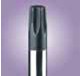 Torx Tip