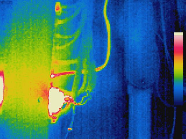 REED R2100 Thermal Imaging Camera Electrical Application